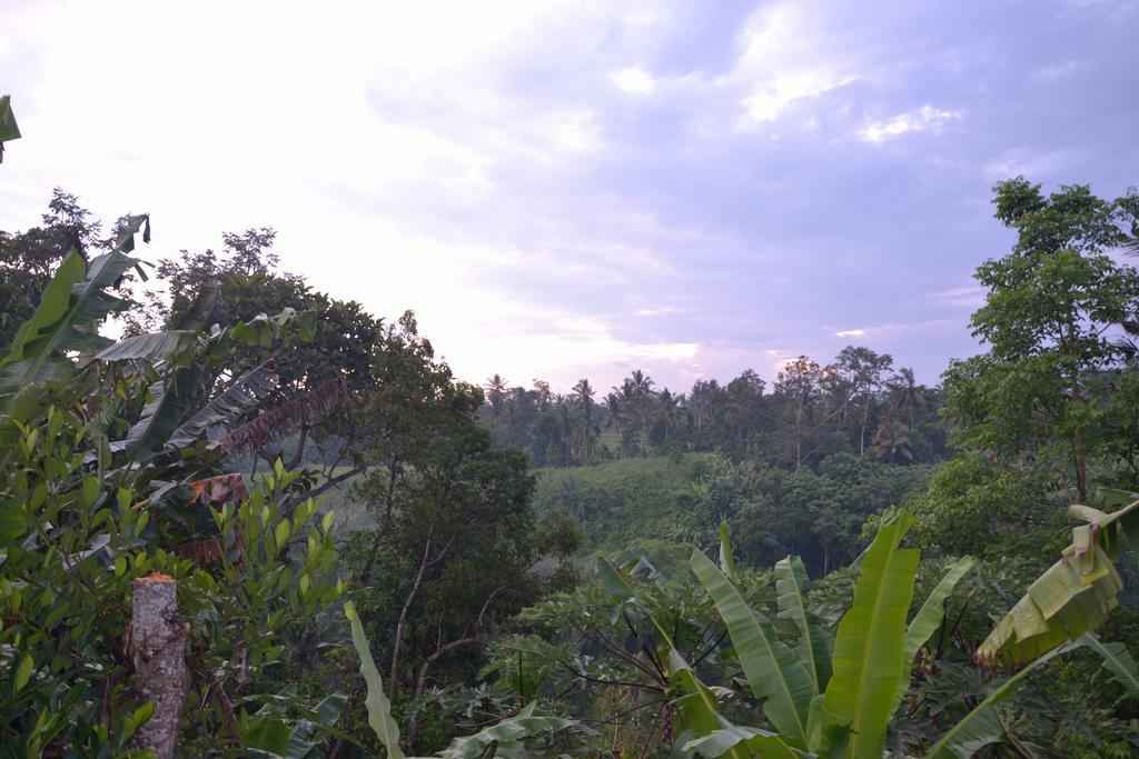 Pondok Bali Ubud Dış mekan fotoğraf