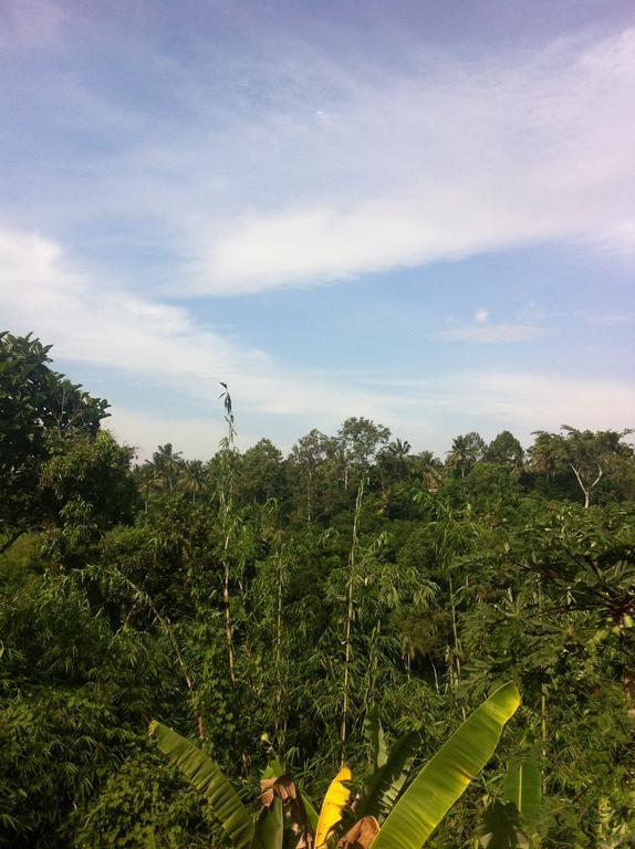 Pondok Bali Ubud Dış mekan fotoğraf